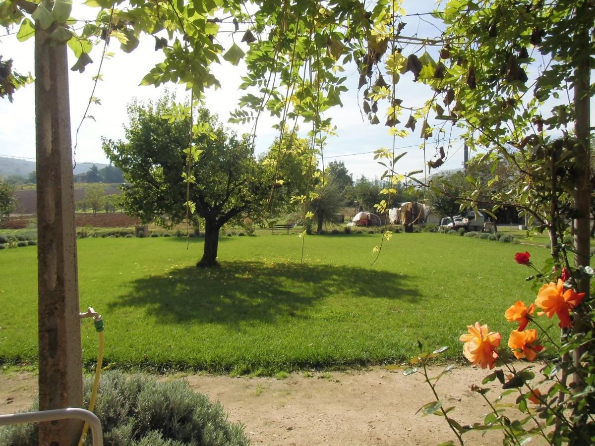 Agriturismo Abbazia Sette Frati A Casa Di Sara Pietrafitta  Exterior photo